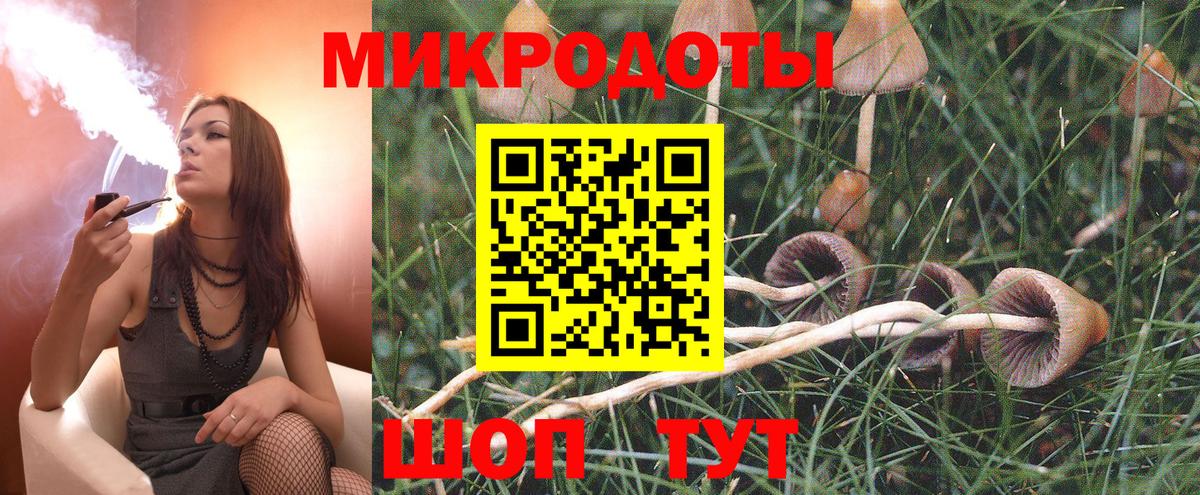 Галлюциногенные грибы Psilocybe  купить   Клин  Вход с VPN  Галлюциногенные грибы Magic Shrooms 